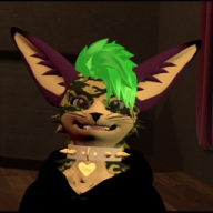 Z.HUSKY