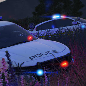 SVPD Chargers in the weeds