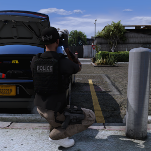 Media 'LSPD GIU' in category 'Los Santos Police Department'