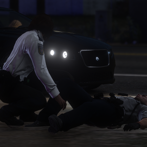 Los Santos Police