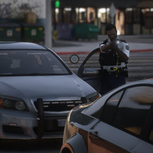 Los Santos Police