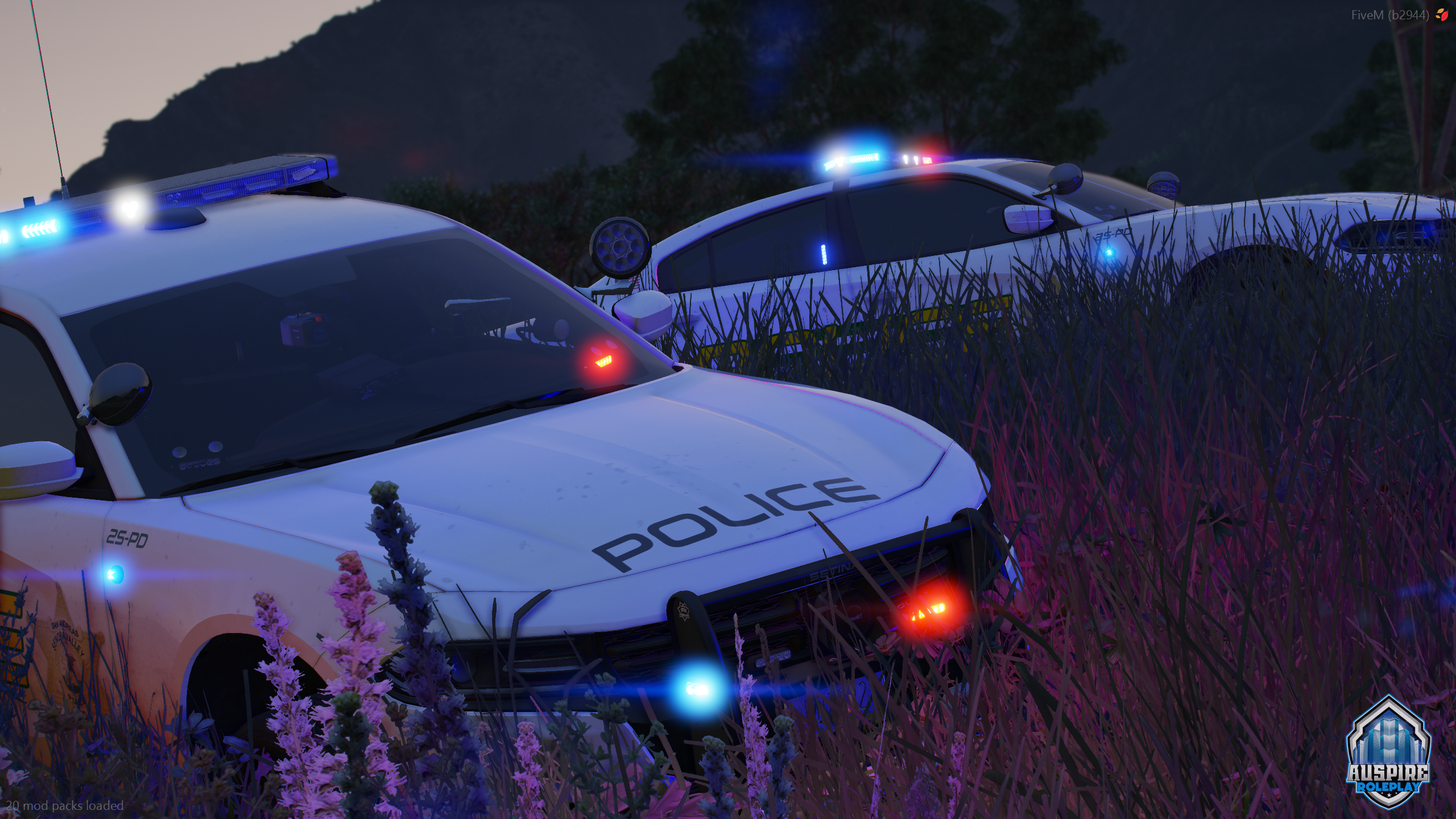 SVPD Chargers in the weeds